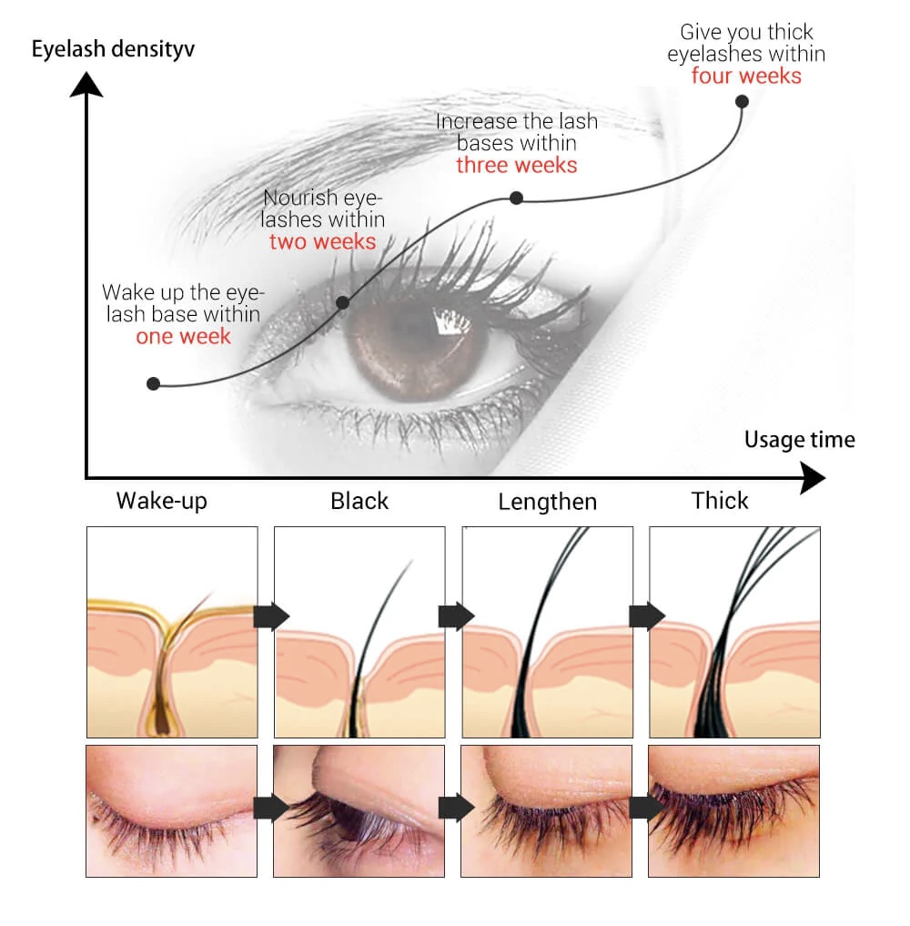 How does LANBENA Eyelash Serum Help Improve The Appearance of Eyelashes?